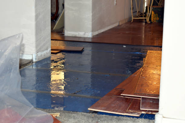 Professional Water Damage Restoration technician working in Pillsbury, ND